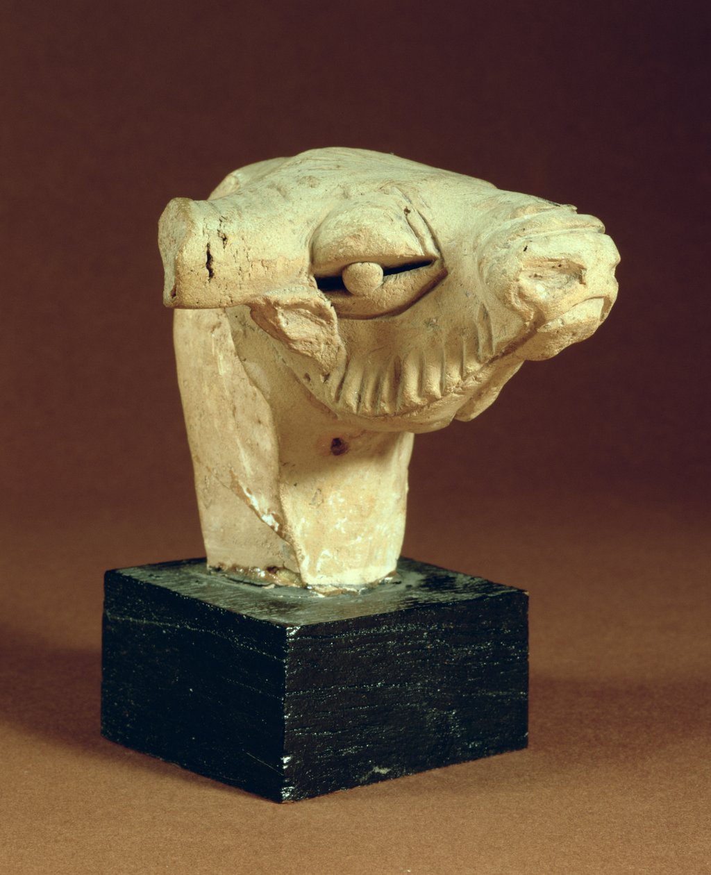 Terracotta Camel Head, Mohenjodaro, 2300-1750 BC by Unbekannt Unbekannt
