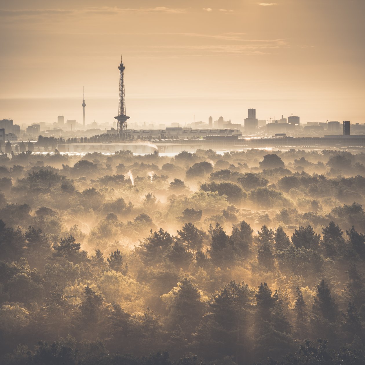 Drachenberg - The Two Towers, Berlin by Unbekannt Unbekannt
