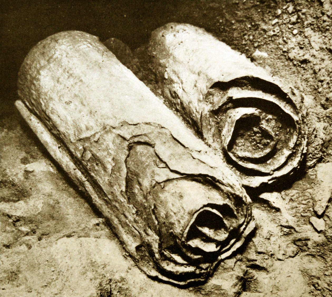 Excavation of the Dead Sea Scrolls, 1950 by Unbekannt Unbekannt