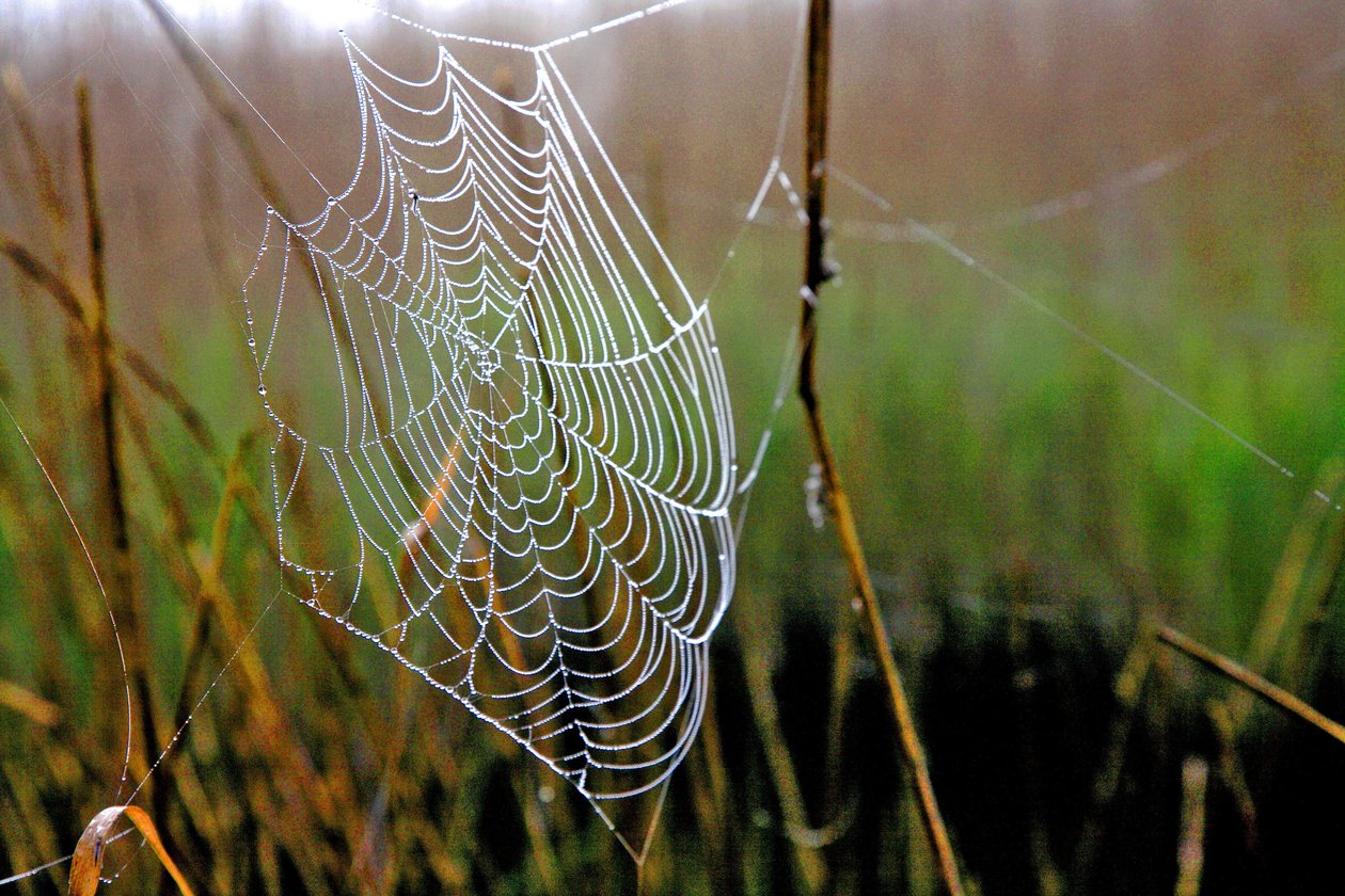 Unknown Image by Unbekannt Unbekannt