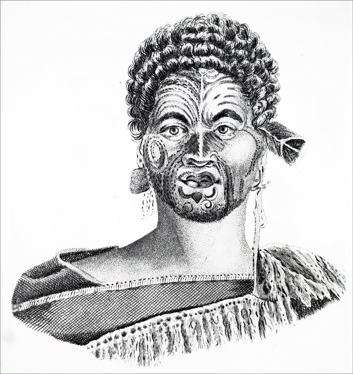 A Maori Chieftain by Unbekannt
