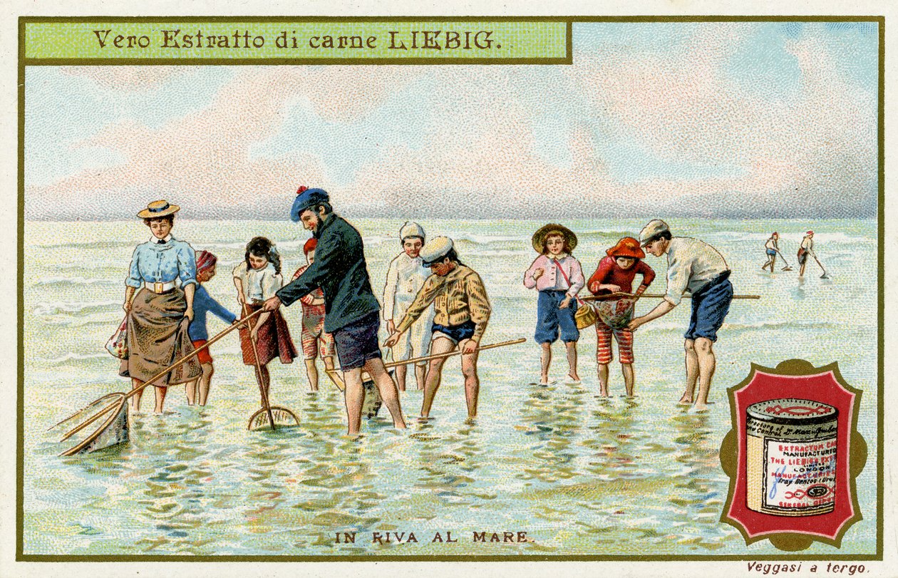 At the Seaside: Fishing with nets by Unbekannter Künstler