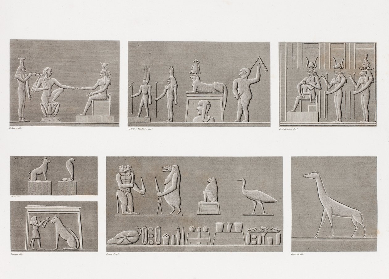 Book: Description of Egypt by Unbekannt