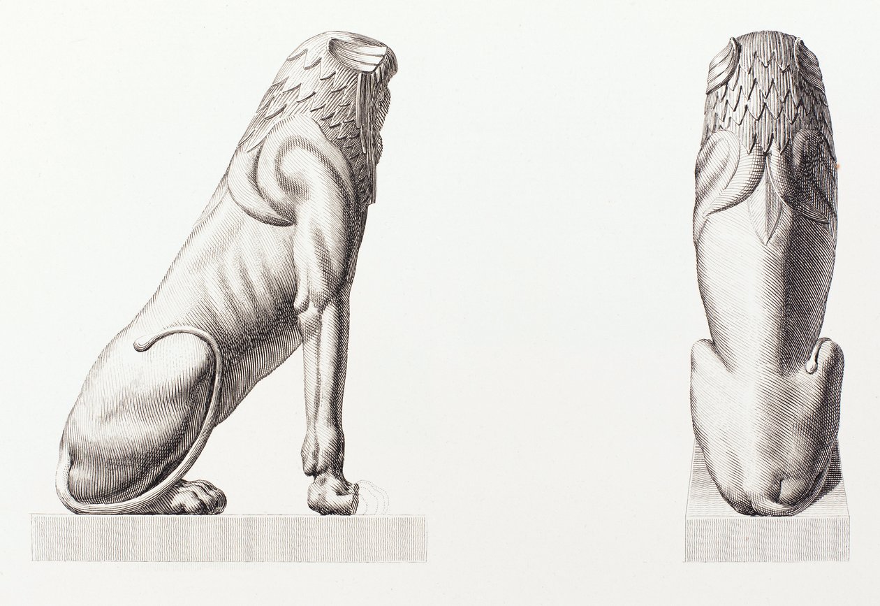 Book: Description of Egypt by Unbekannt