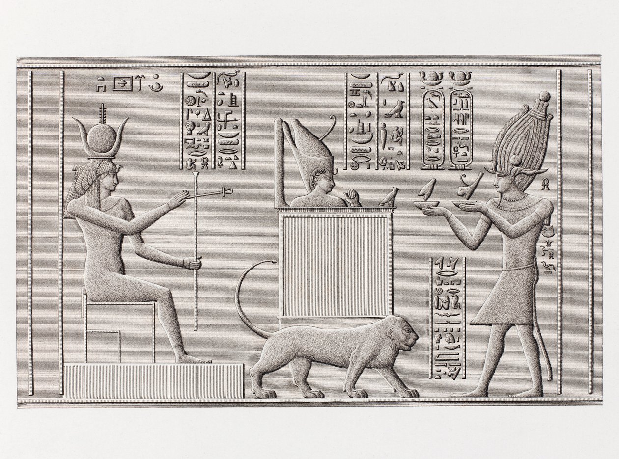 Book: Description of Egypt by Unbekannt