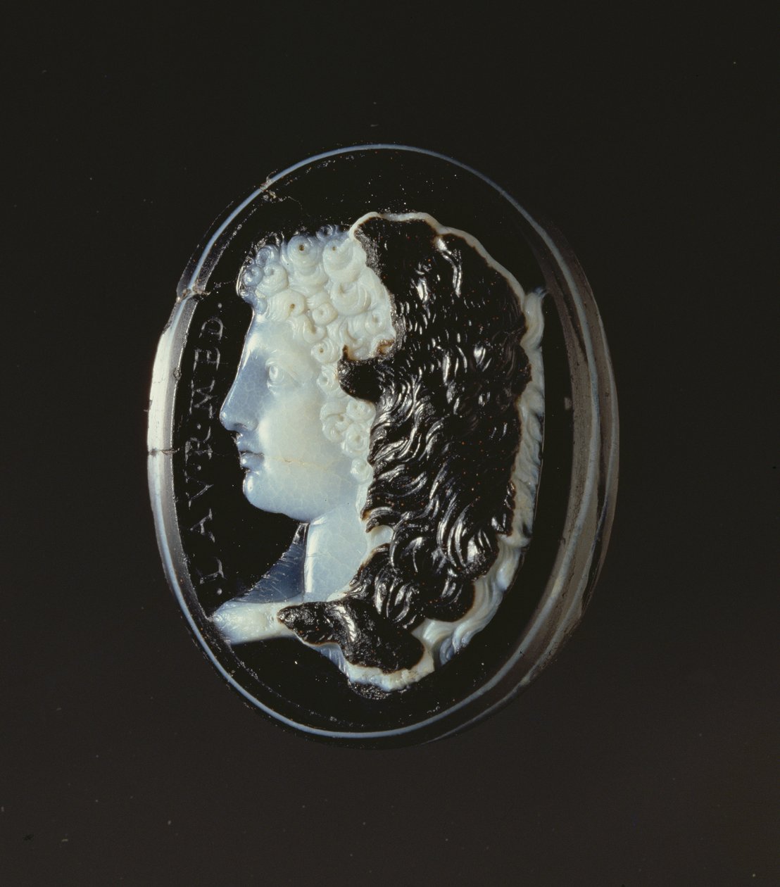 Cameo of the Head of Hercules by Unbekannt