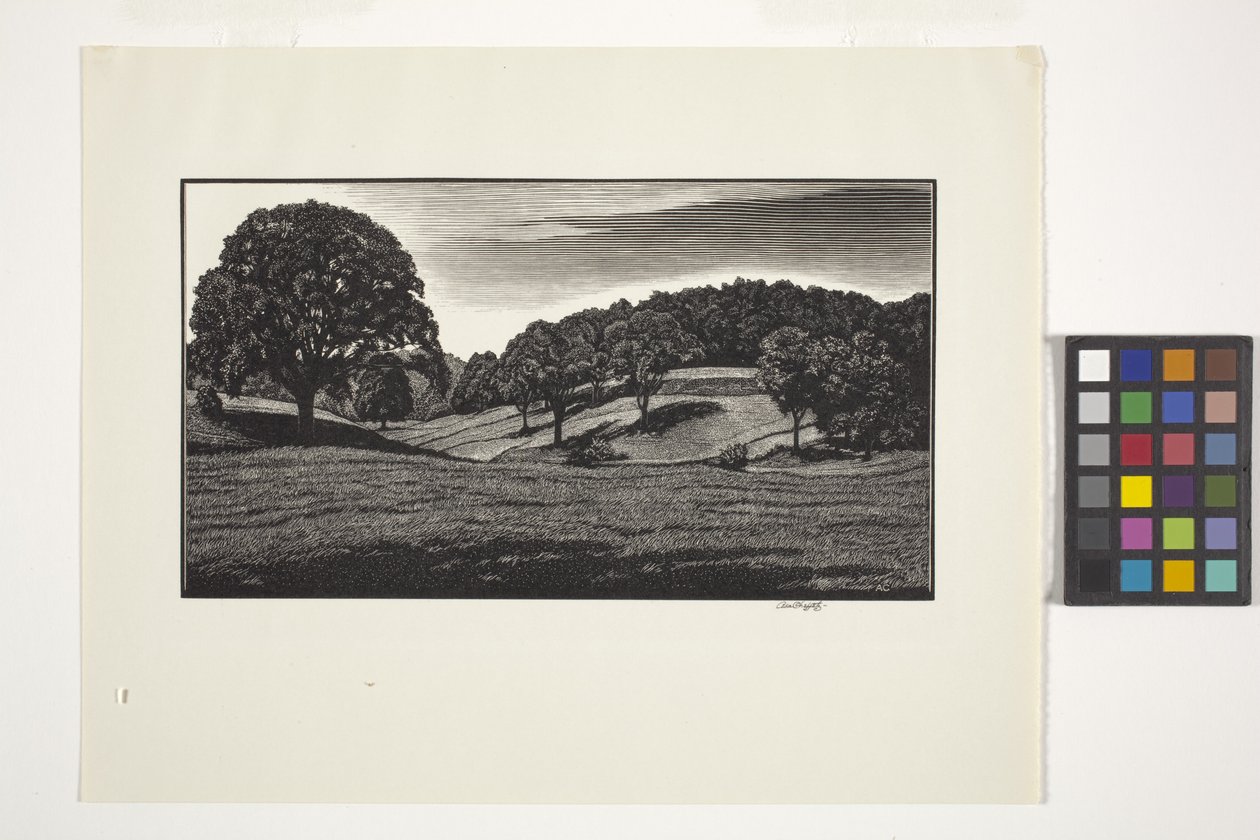 Country Scene by Unbekannter Künstler