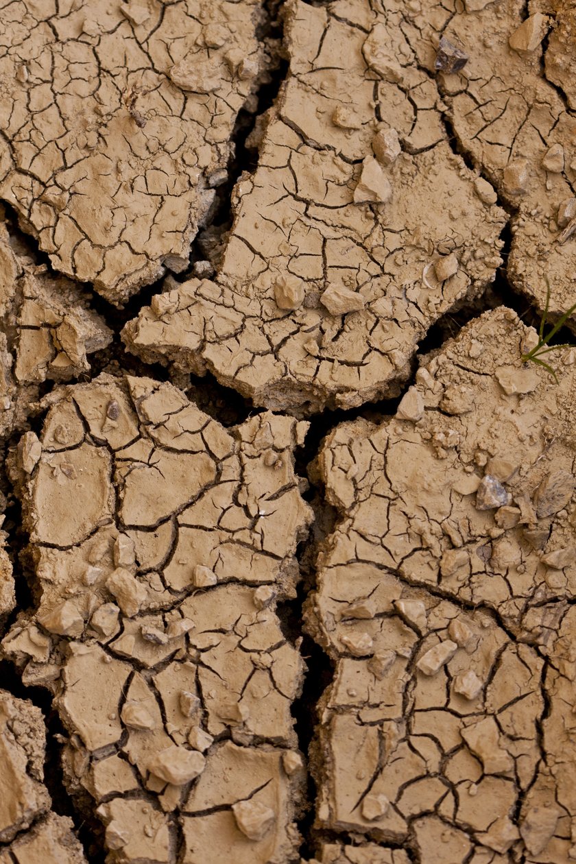 Dry II by Unbekannter Künstler
