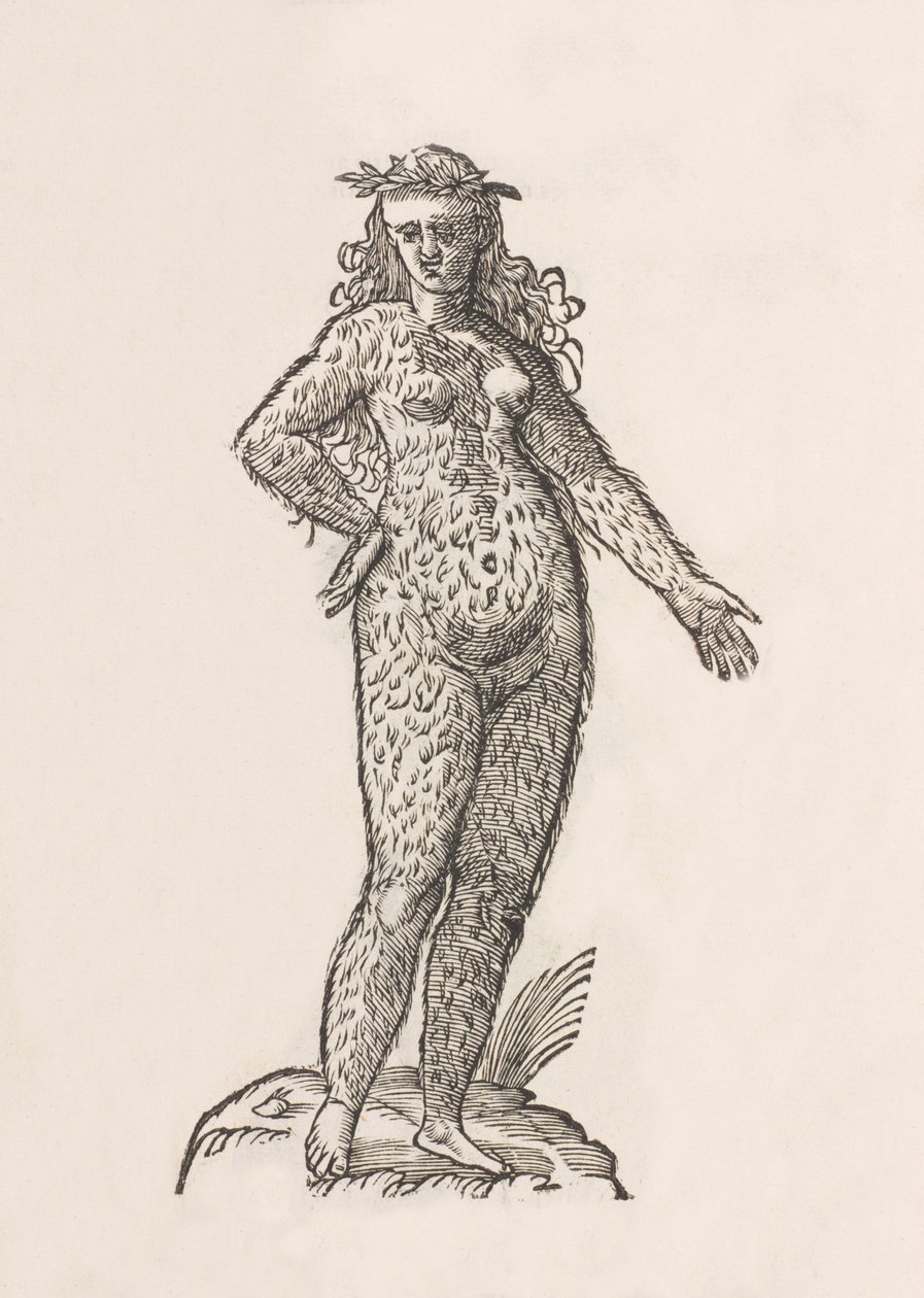 Woman of the Cinnamon Tribe by Unbekannt