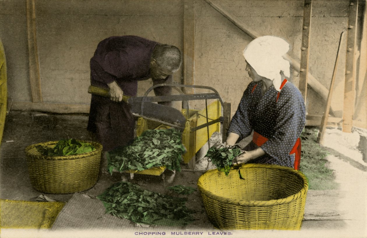 Japanese workers chopping Mulberry leaves by Unbekannter Künstler