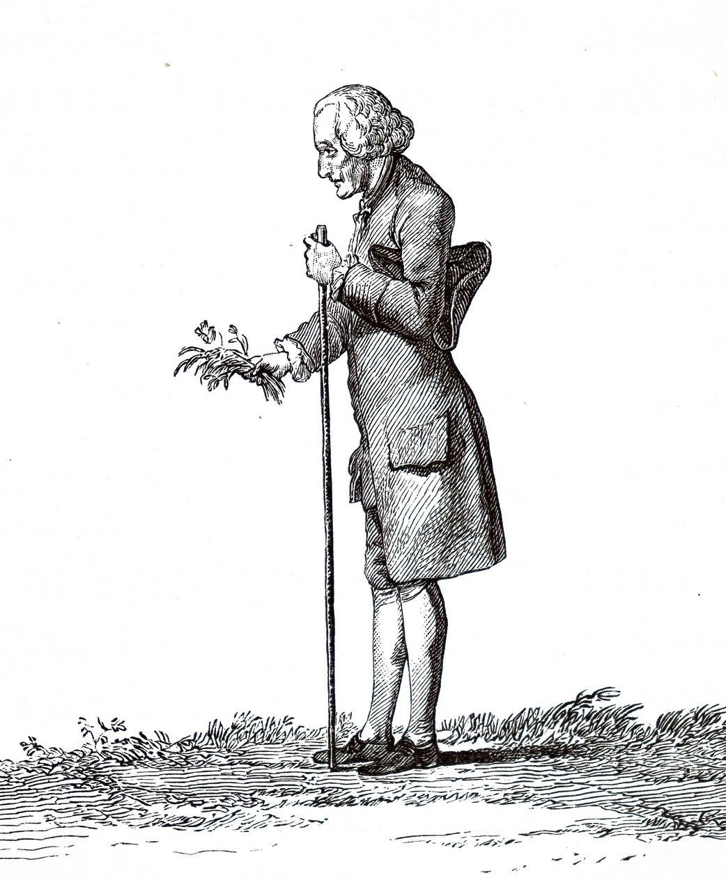 Jean-Jacques Rousseau by Unbekannt