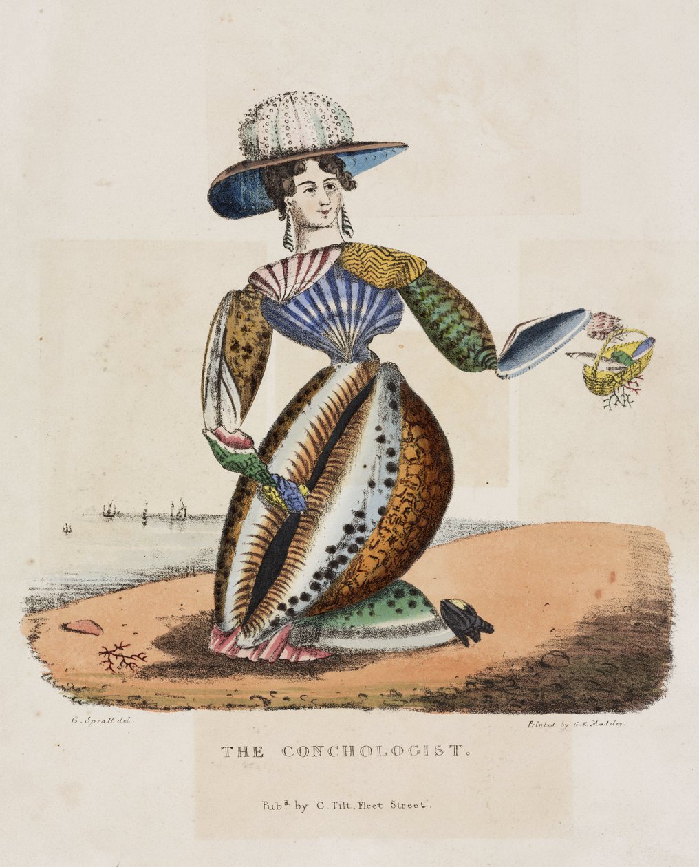 The conchologist, circa 1831 by Unbekannt