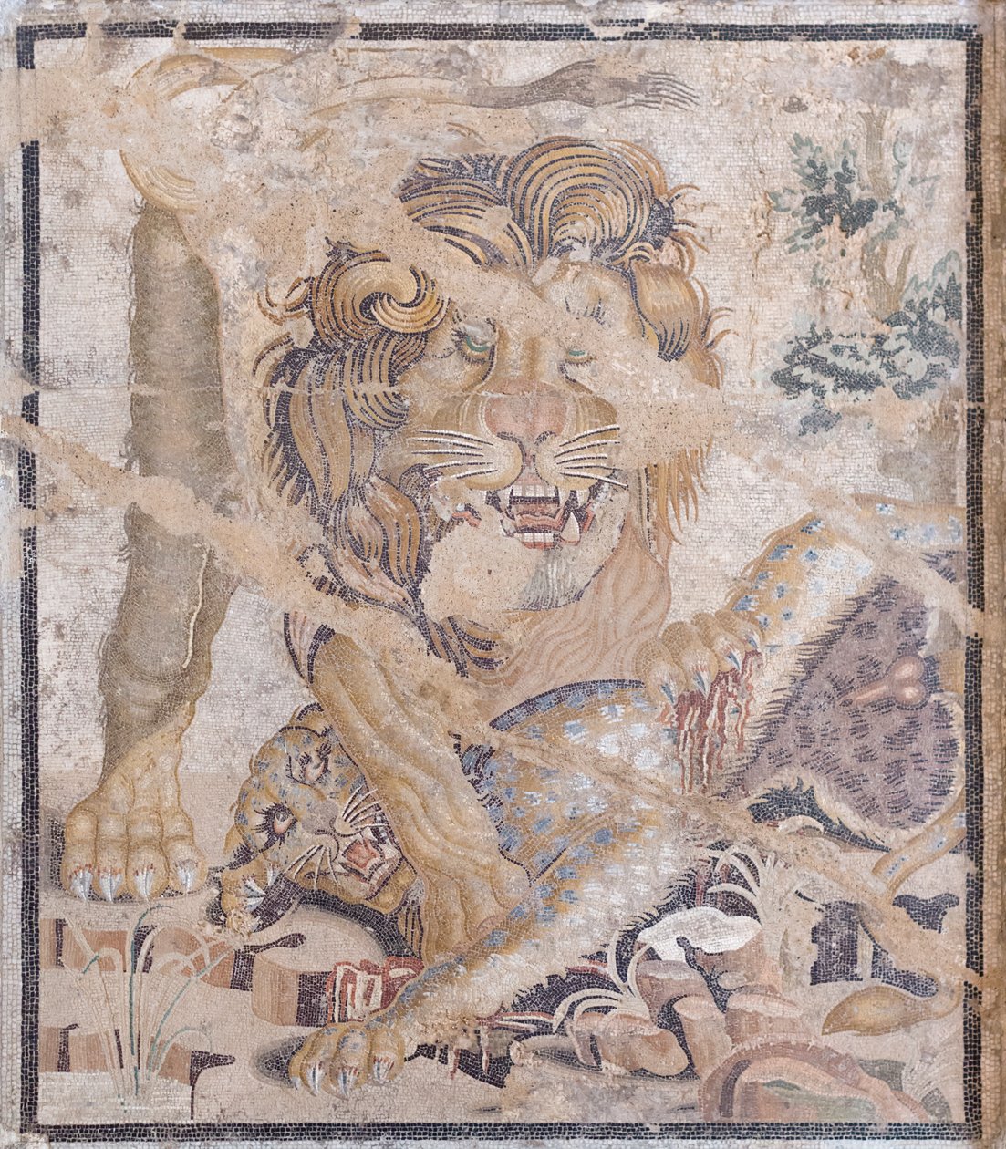 Lion and Leopard by Unbekannter Künstler