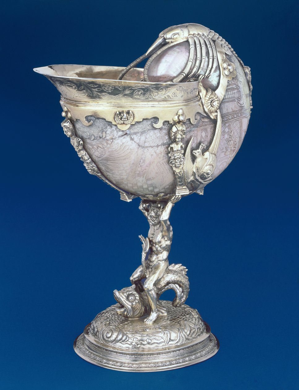 Nautilus Cup by Unbekannt