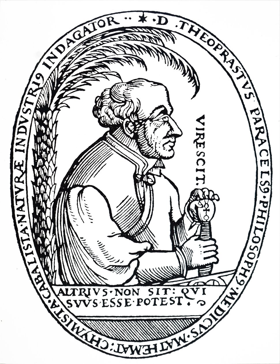 Paracelsus by Unbekannt
