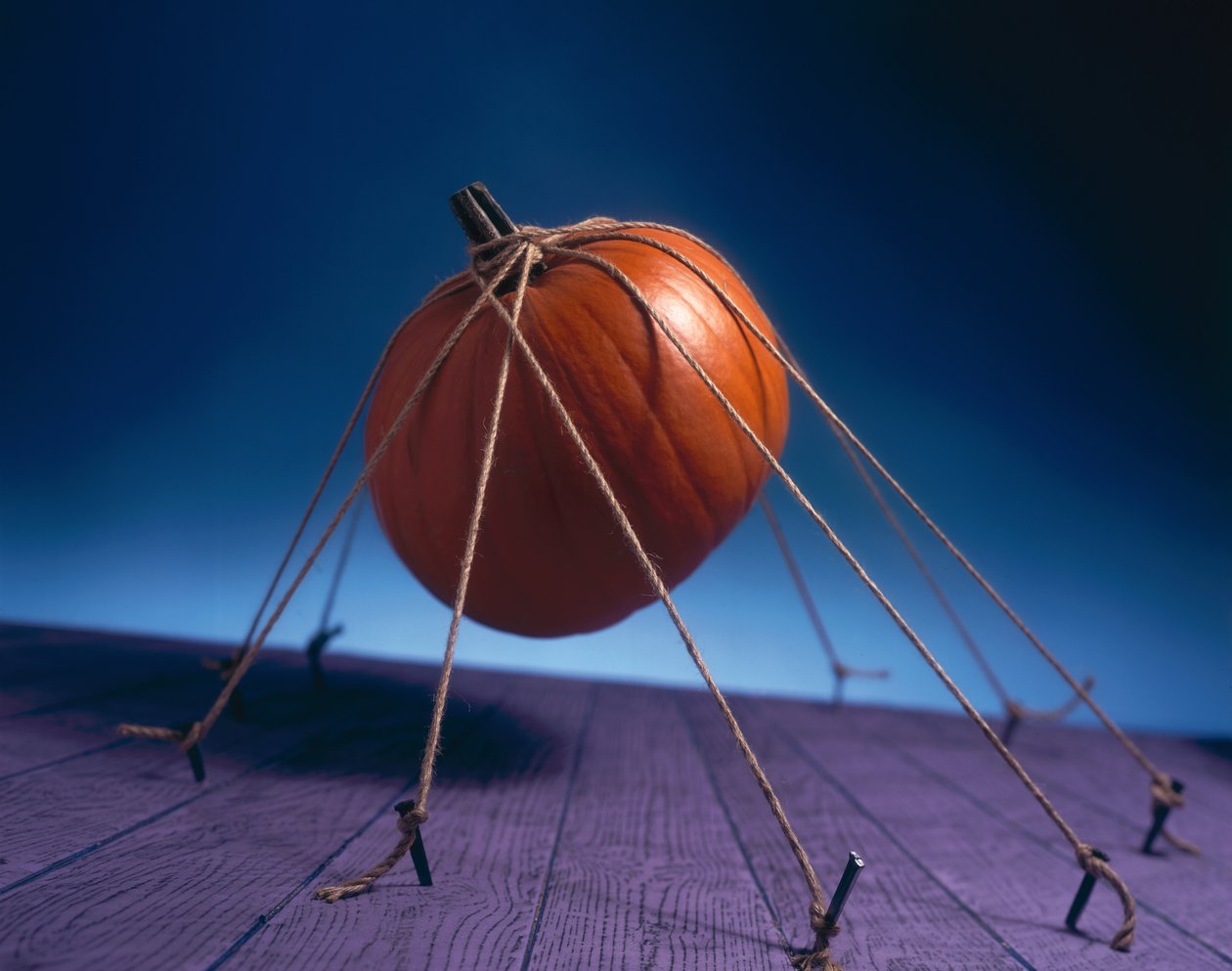Tethered Pumpkin by Unbekannter Künstler