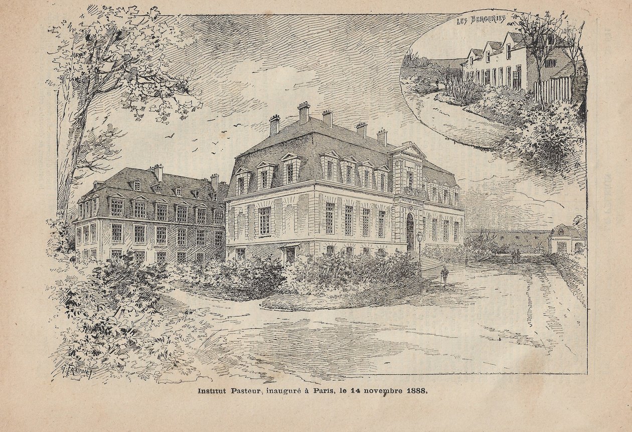 The Pasteur Institute in Paris by Unbekannter Künstler