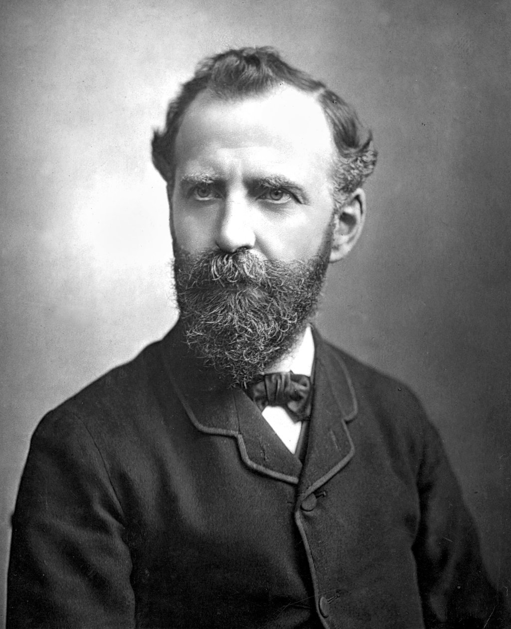 William Thomas Stead by Unbekannt