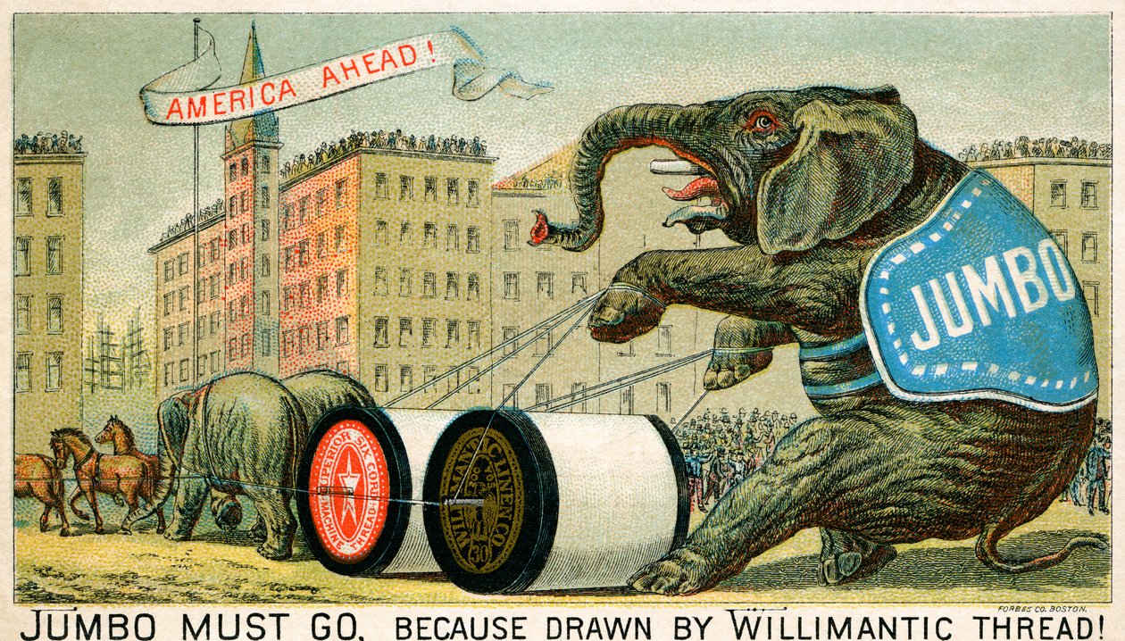 Willimantic Thread - late 19th century advertisement by Unbekannter Künstler