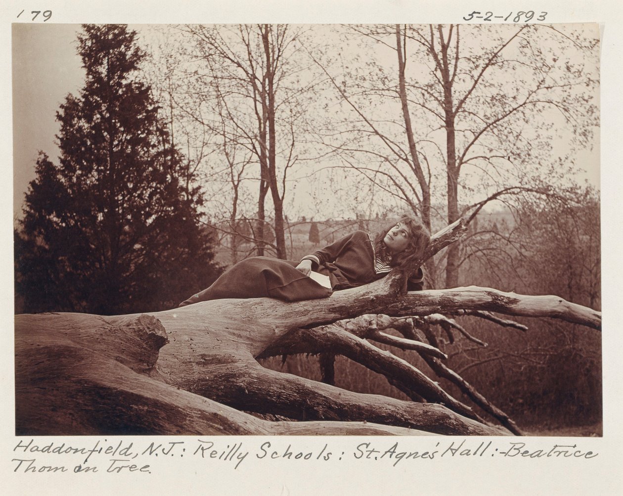 Beatrice Thom on Tree, Haddonfield, New Jersey by Unidentified