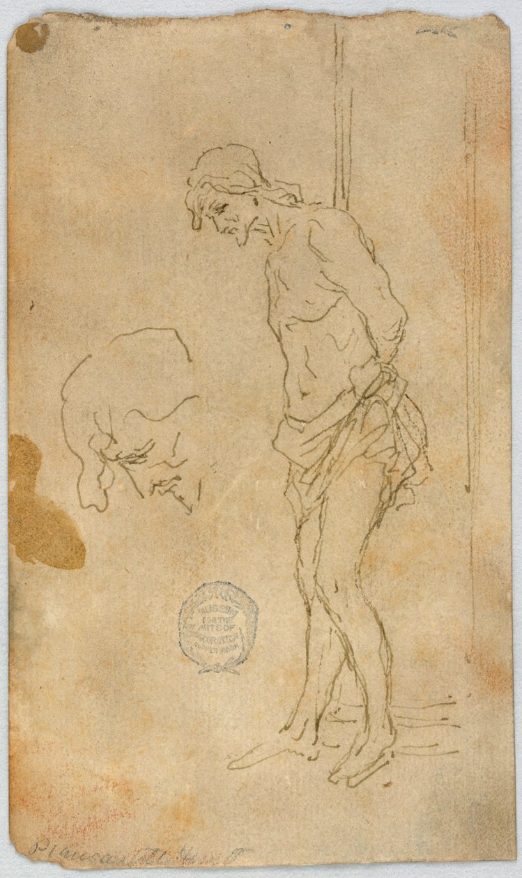 Sketch of Figure with Arms Bound Behind His Back by Unknown