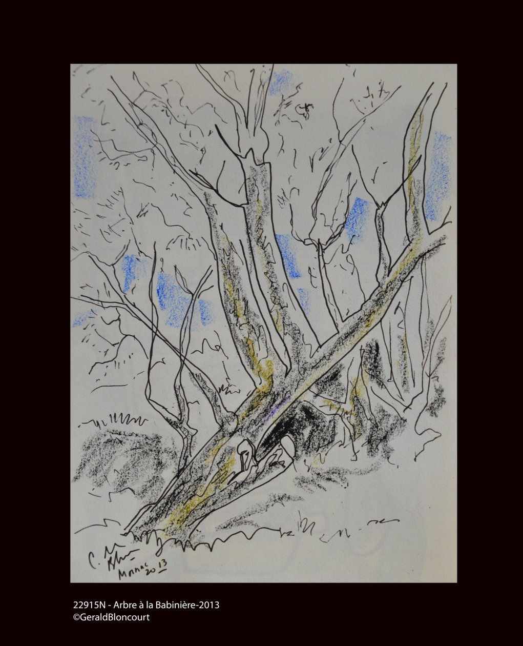 Tree at Babiniere - 2013 by Unknown