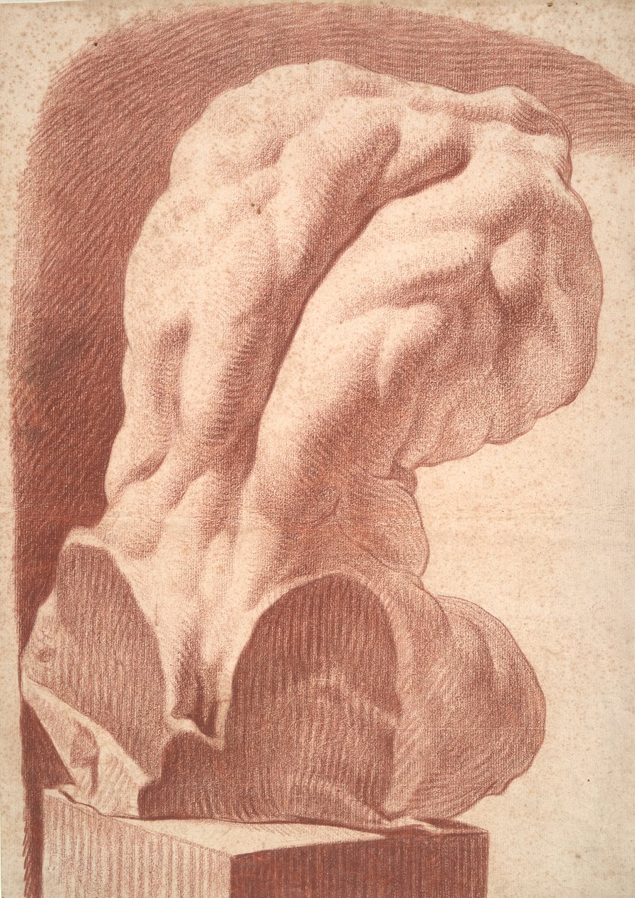 Academic Study of a Torso by Unknown
