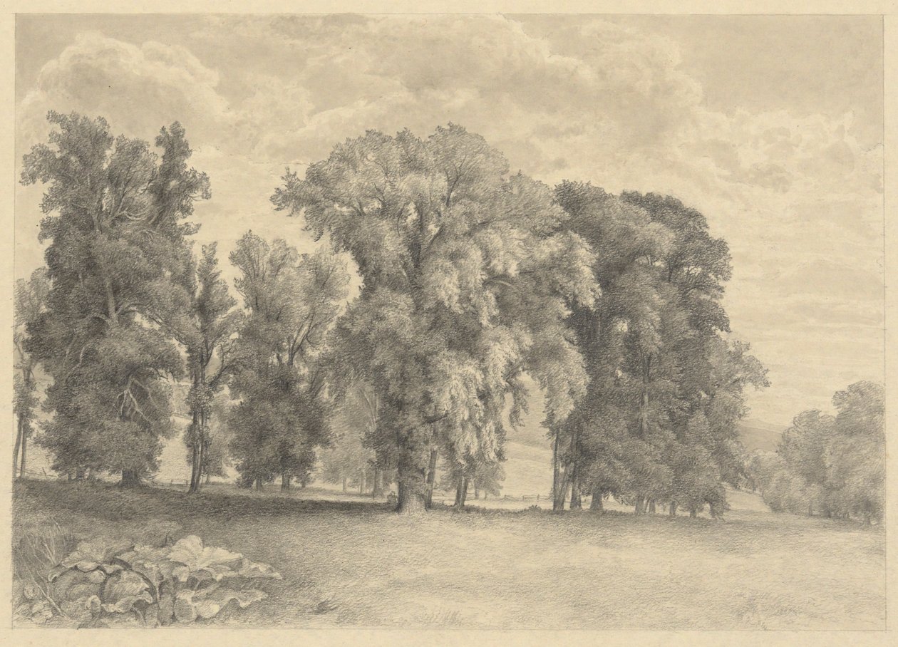 Meadow and Trees by Unknown