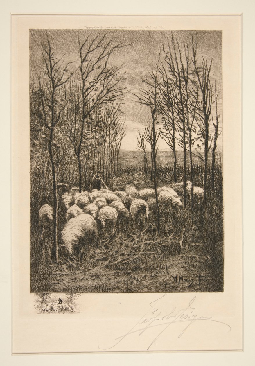 Sheep in Pasture by Unknown