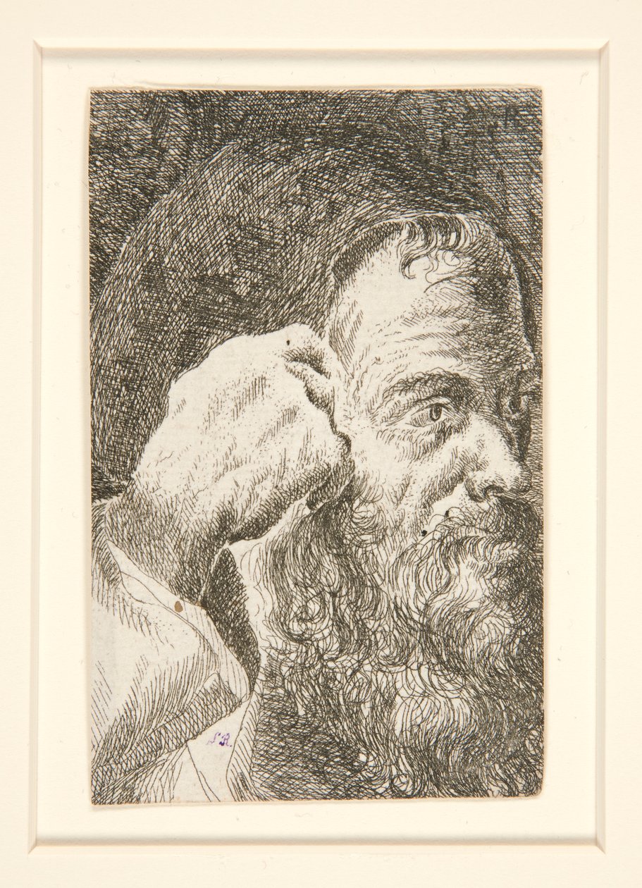 Untitled (Head of a Bearded Man) by Unknown