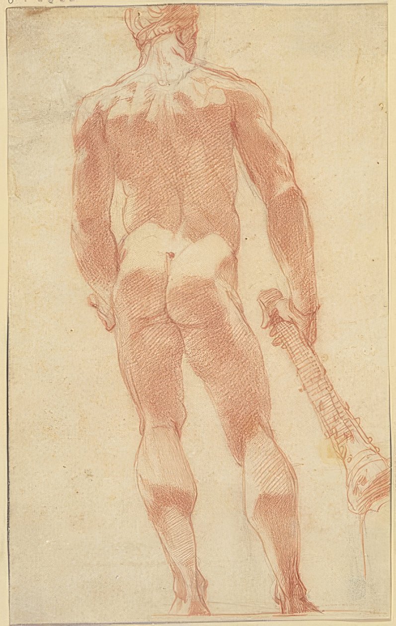 Standing Hercules from the Back by Unknown