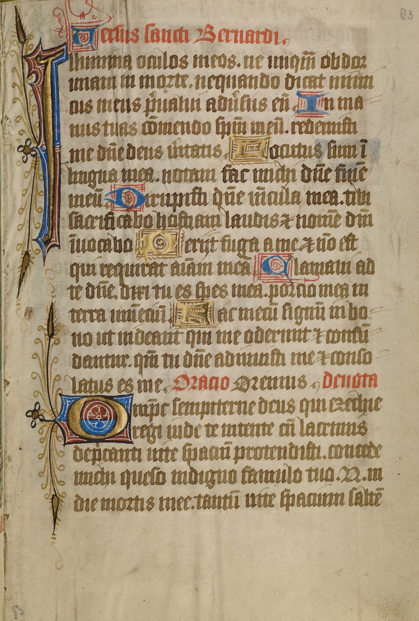 Decorated Text Page by Unknown artist