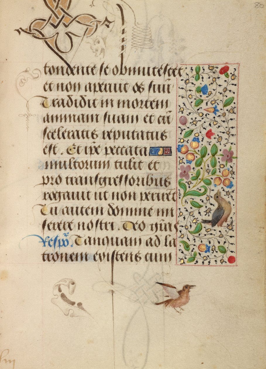 Decorated Text Page by Unknown artist