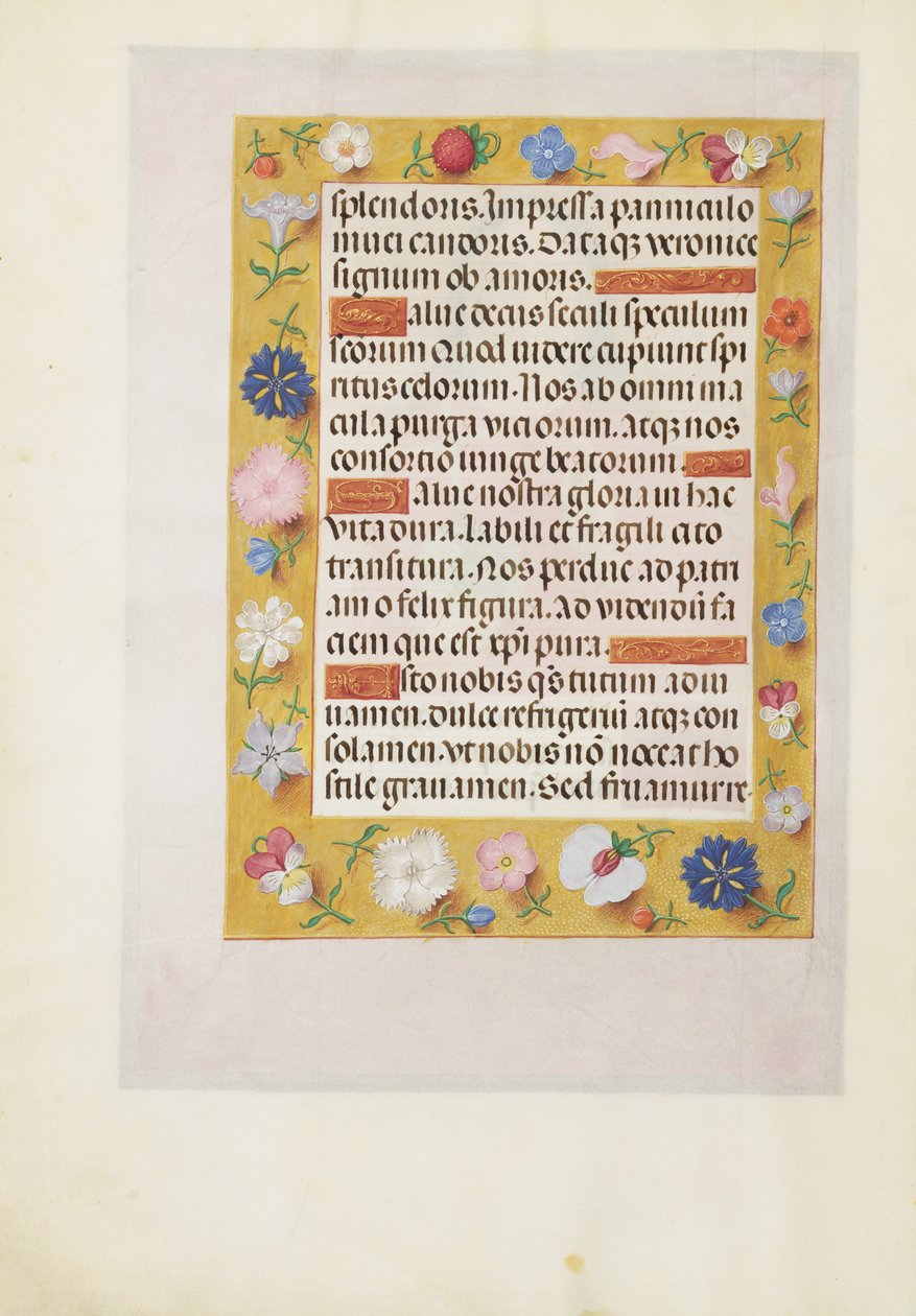 Decorated Text Page by Unknown artist