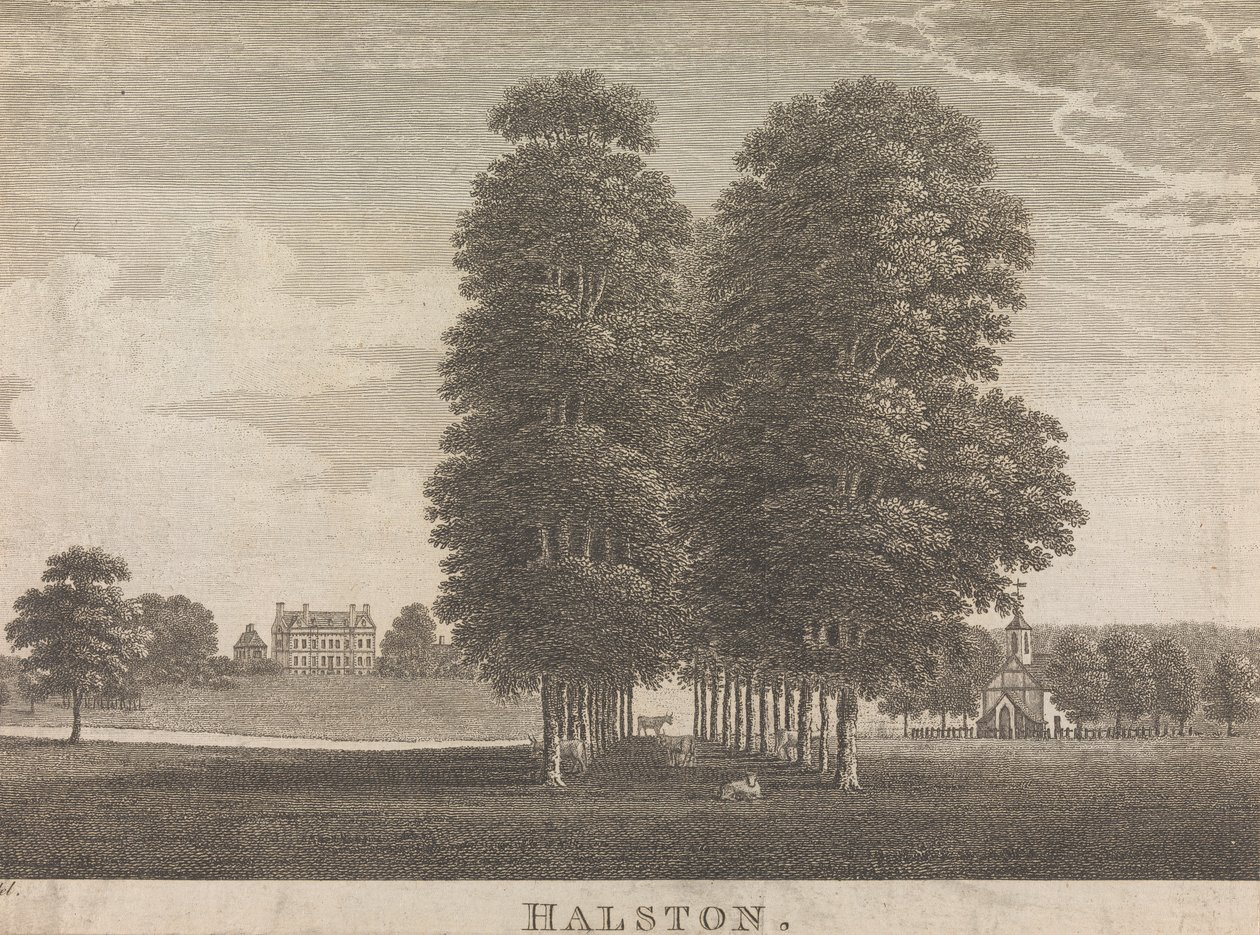Halston; page 22 (Volume Two) by Unknown artist