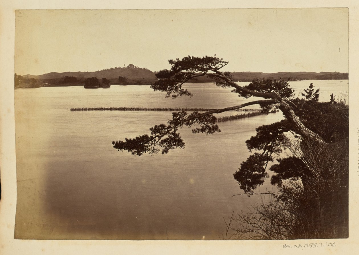 Landscape with Lake and Trees by Unknown artist