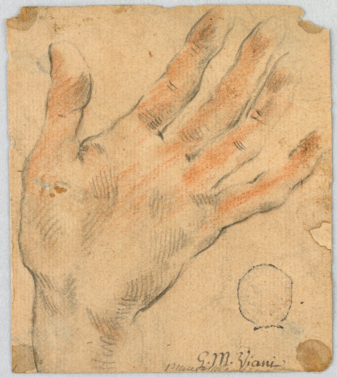 Study: A Left Hand by Unknown artist