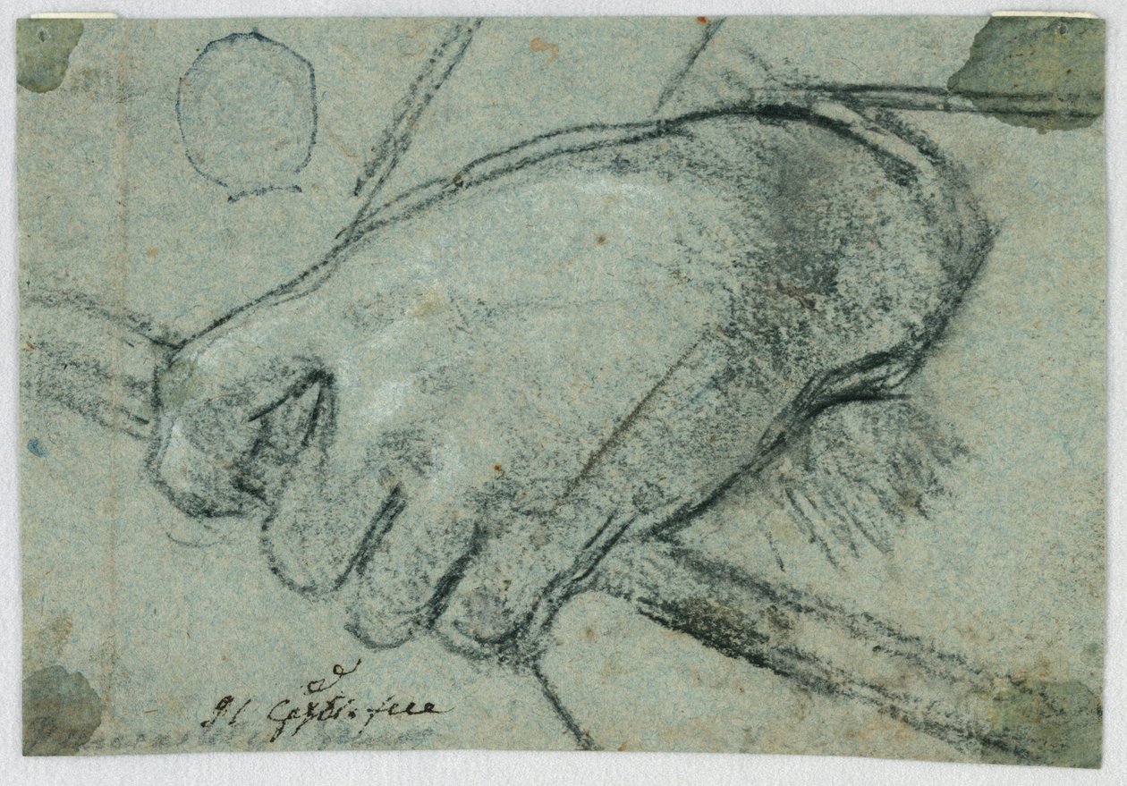 Study: A Left Hand Carrying a Stick by Unknown artist