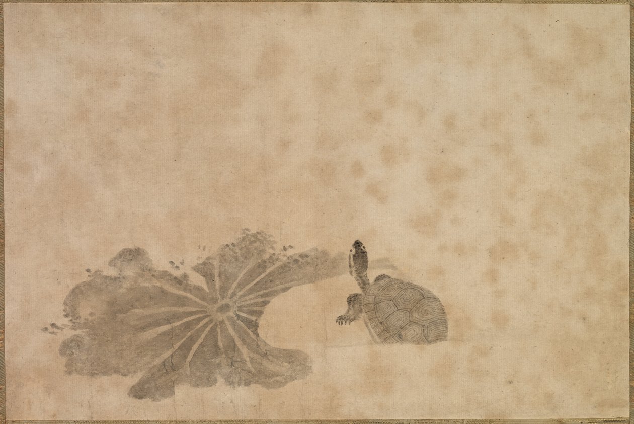 Turtle in a Lotus Pond by Unknown artist