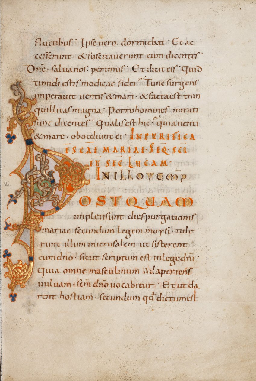 Decorated Initial P by Unknown artist/maker