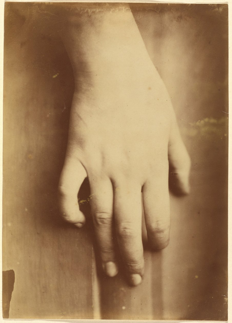 Study of a Hand, 1865 by Unknown photographer