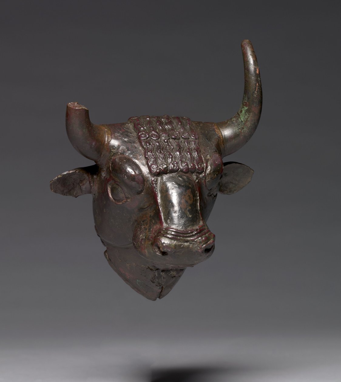 Bull Head Attachment by Urartian