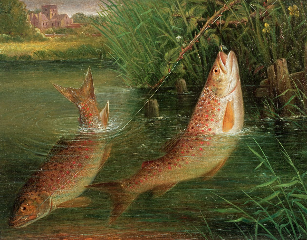 Trout at Winchester by Valentine Thomas Garland