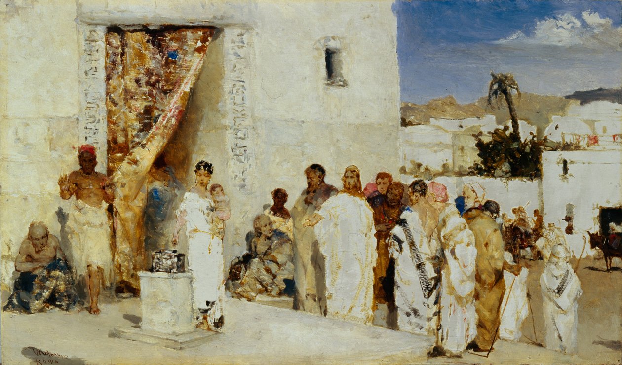 The Widow