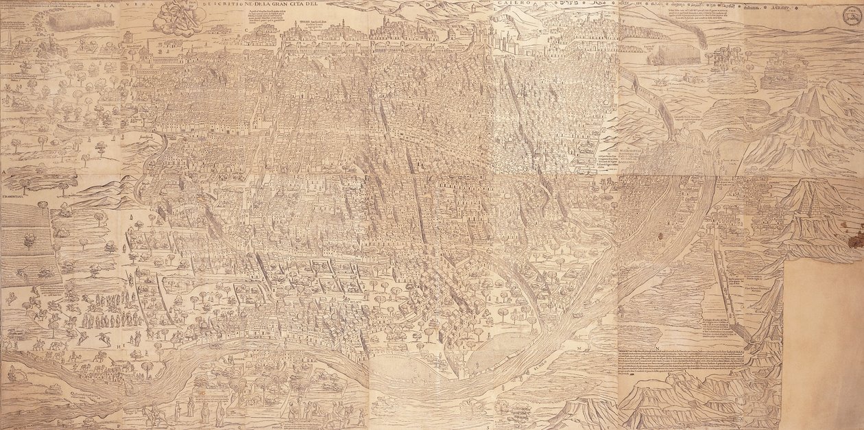 Map of Cairo, a Bird