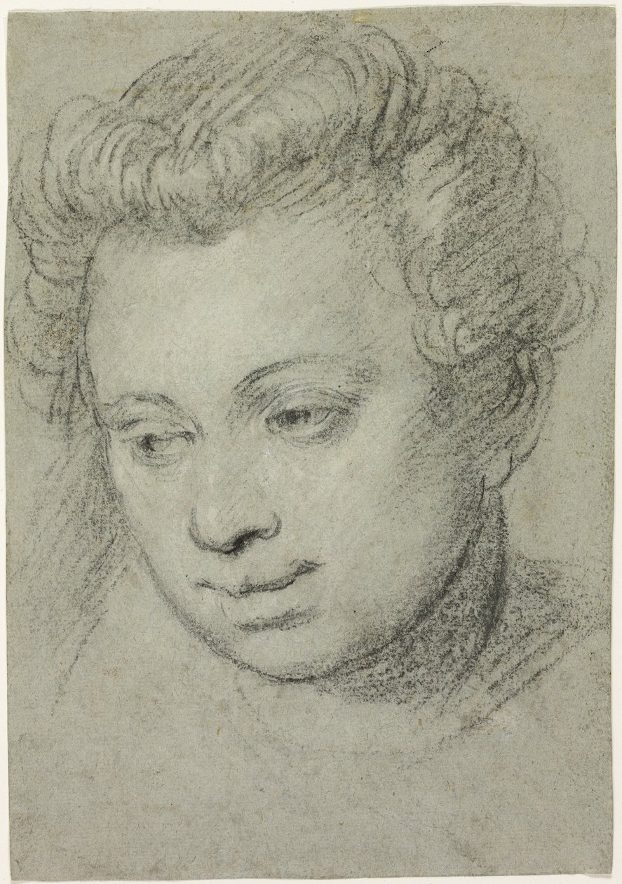 Head of a Woman by Veronese (Paolo Caliari)