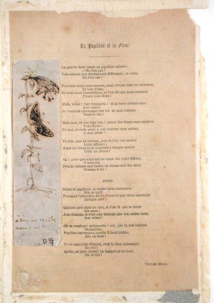 Le Papillon et la Fleur, Poem with an Illustration of Butterflies from Les Chants du Crepuscule by Victor Hugo