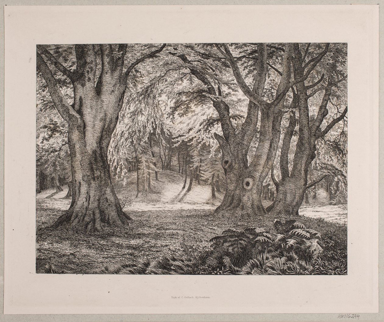 The Interior of a Forest by Vilhelm Kyhn