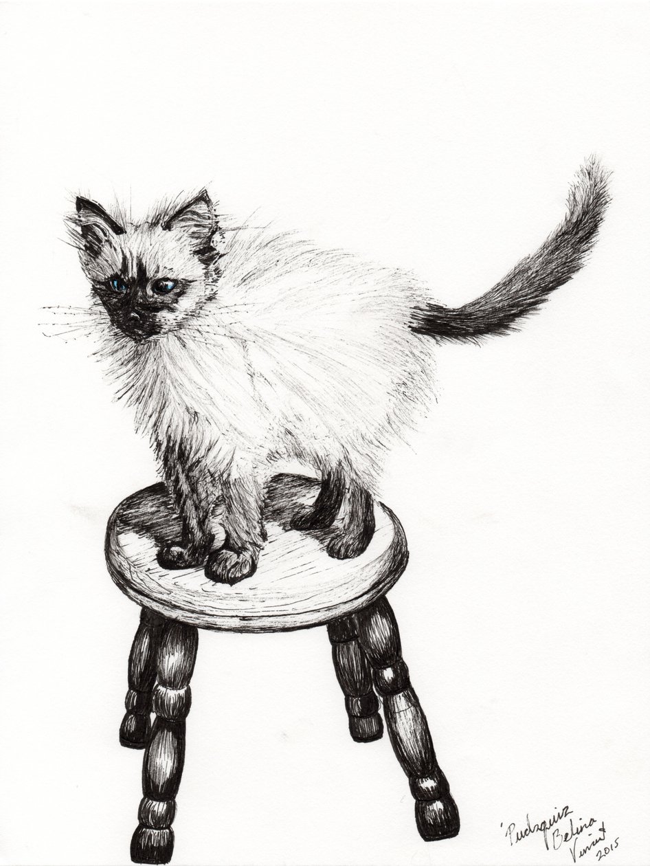 Pudsquiz Belina by Vincent Alexander Booth