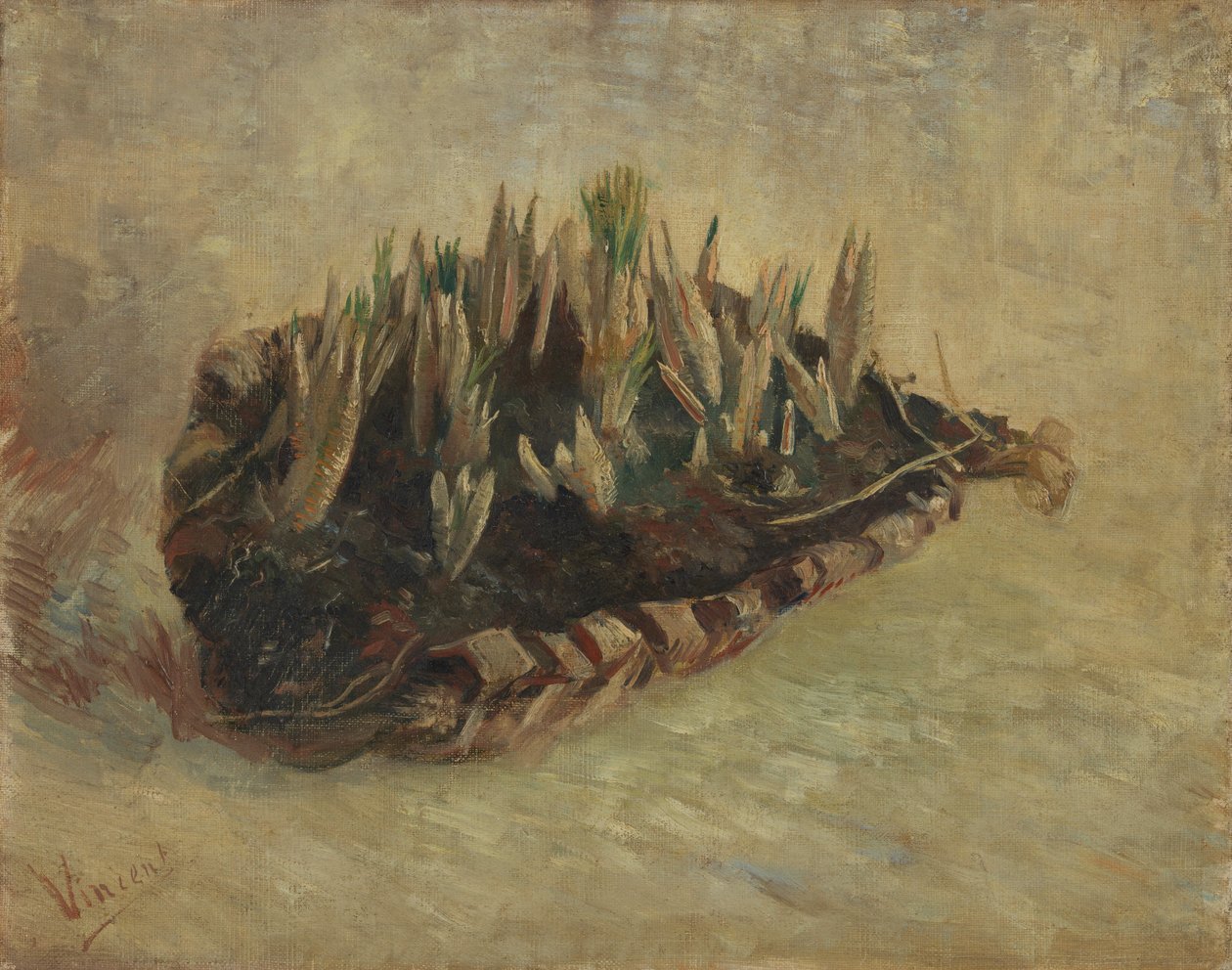 Basket of Crocus Bulbs by Vincent van Gogh